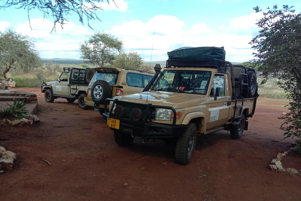 Tanzániai vadászati utak, programok szervezése, teljes körű szolgáltatással