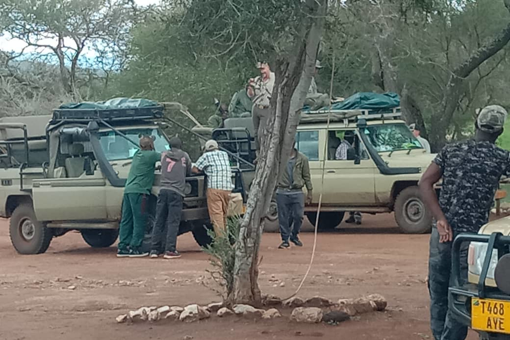 Tanzániai vadászati utak, programok szervezése, teljes körű szolgáltatással