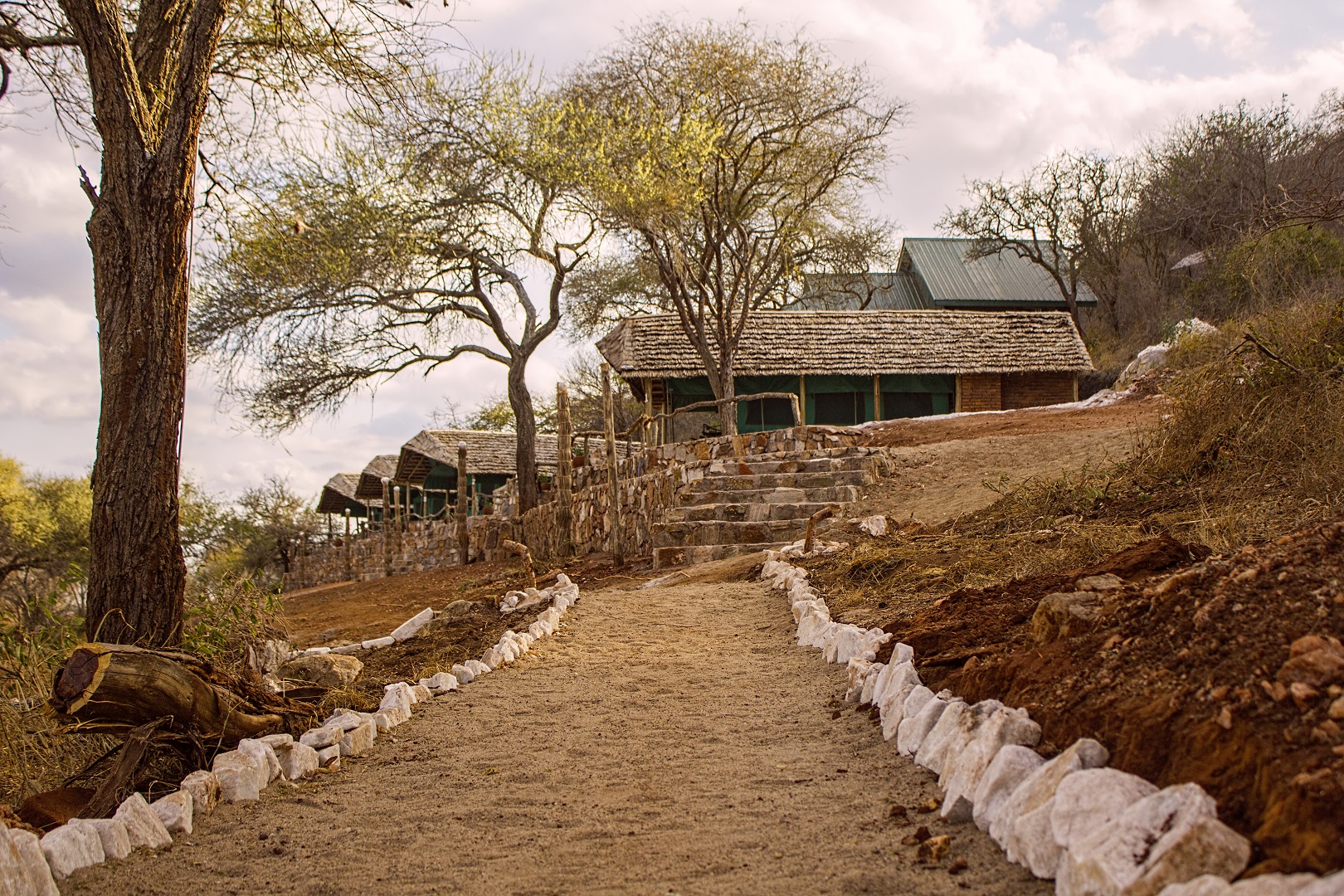 Tanzániai vadászati utak, programok szervezése, teljes körű szolgáltatással