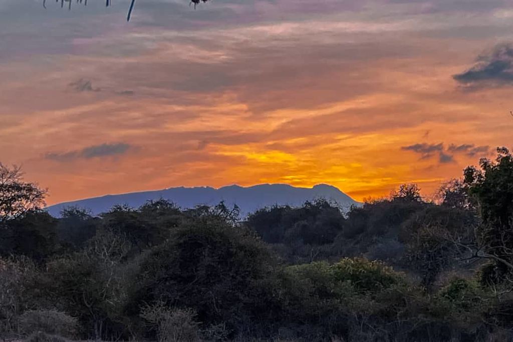 Tanzániai vadászati utak, programok szervezése, teljes körű szolgáltatással