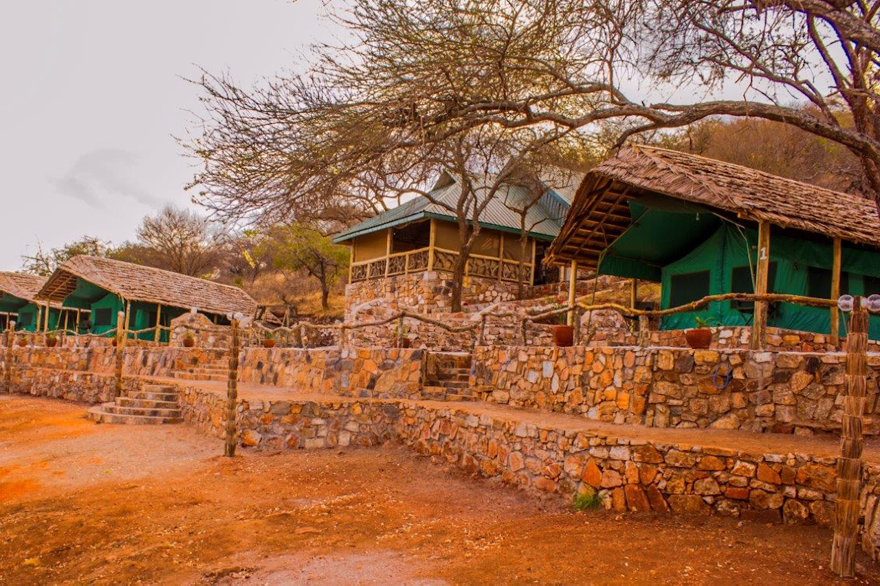 Tanzániai vadászati utak, programok szervezése, teljes körű szolgáltatással