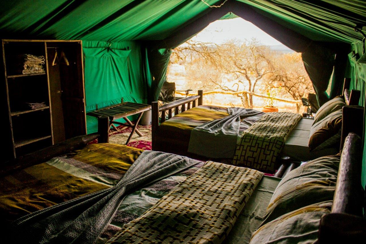 Tanzániai vadászati utak, programok szervezése, teljes körű szolgáltatással